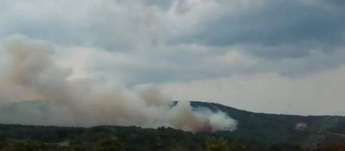 Πυρκαγιά στο πευκοδάσος της Λευκίμης στο Σουφλί